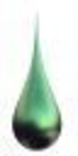 New World: Night Stalker