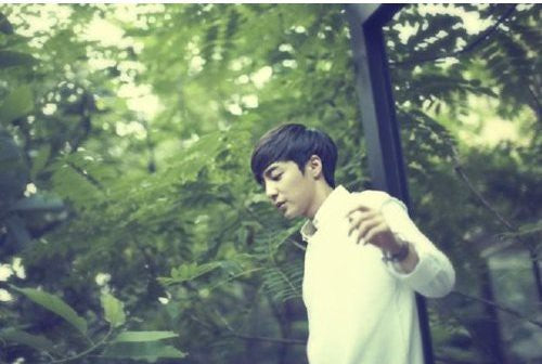 Roykim: Love Love Love