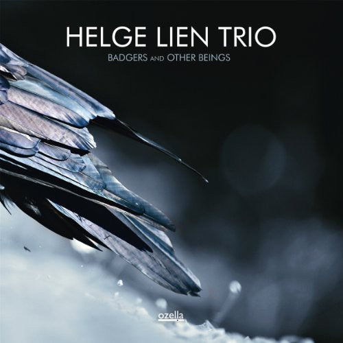 Lien, Helge: Badgers & Other Beings