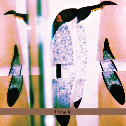 Haggai Cohen-Milo: Penguin - COMPACT DISCS