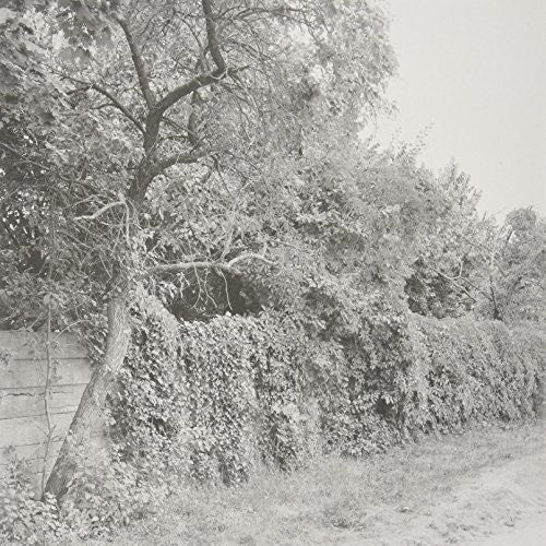 Schwarz, Seth: Jabel