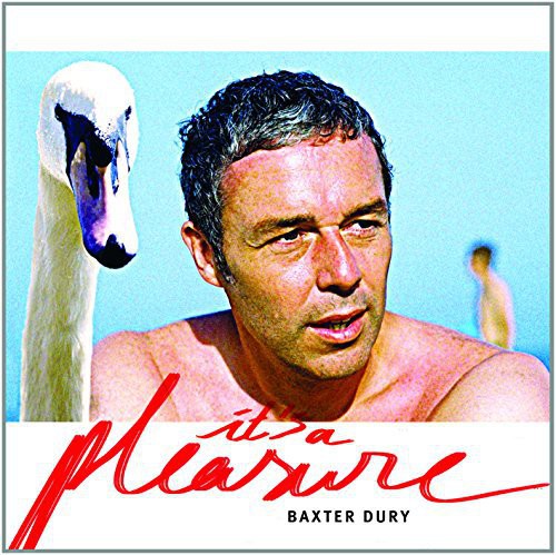 Dury, Baxter: It's a Pleasure - VINYL LP