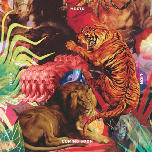 Coming Soon: Tiger Meets Lion