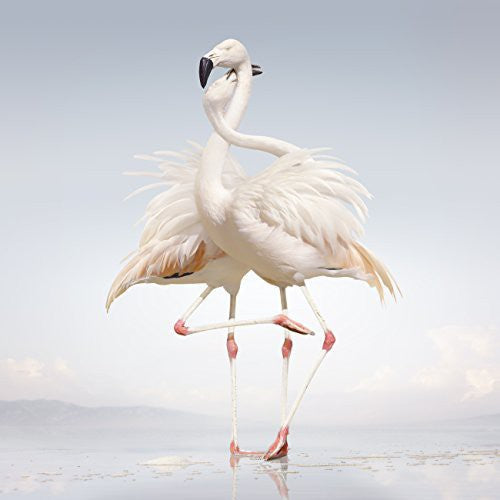 Rustie: Green Language - COMPACT DISCS