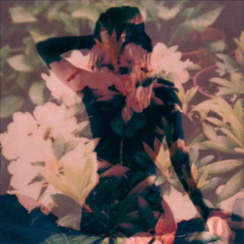 Modern Vices: Modern Vices - COMPACT DISCS