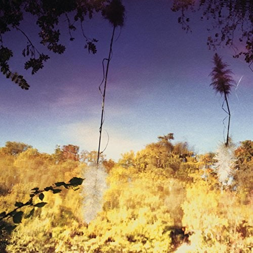 Disco Anti Napoleon: Ascent