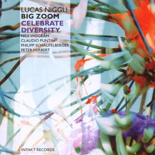 Niggli: Celebrate Diversity Zoom