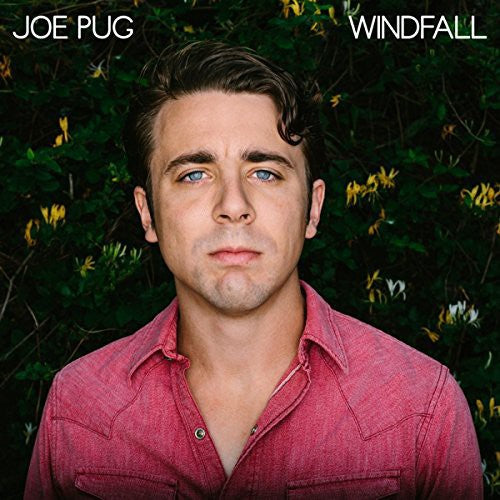 Pug, Joe: Windfall