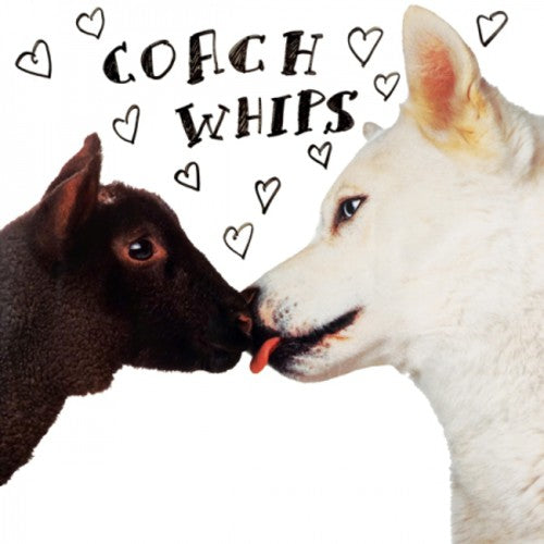 Coachwhips: Bangers Vs. Fuckers