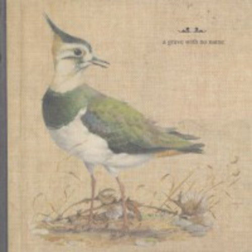 Grave With No Name: Feathers Wet Under the Moon
