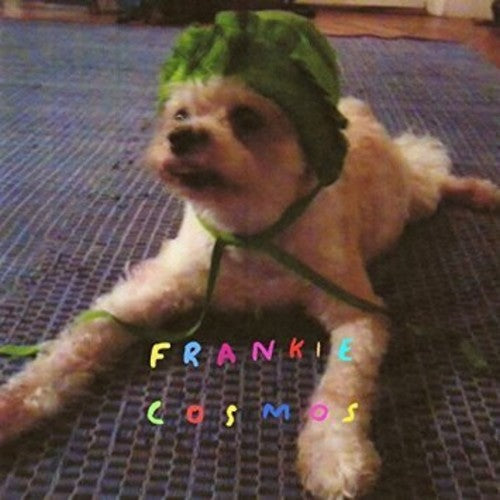 Frankie Cosmos: Zentropy - COMPACT DISCS