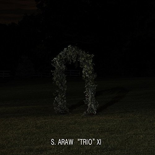 Sun Araw: Gazebo Effect
