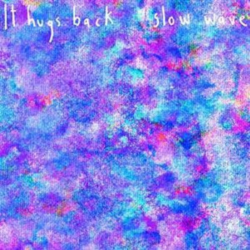 It Hugs Back: Slow Wave - COMPACT DISCS