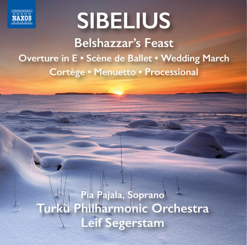 Sibelius / Turku Philharmonic Orchestra: Orchestral Works