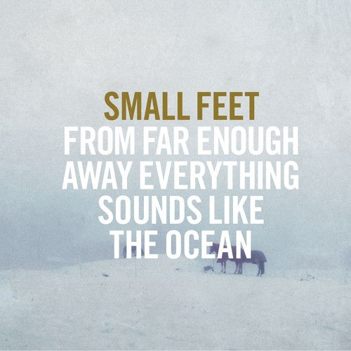 Small Feet: From Far Enough Away Everything Sounds Like - COMPACT DISCS