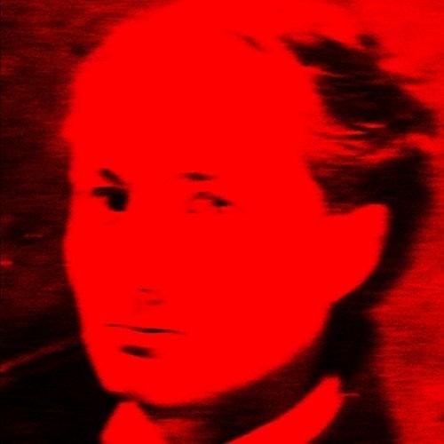Tocotronic: Rebel Boy