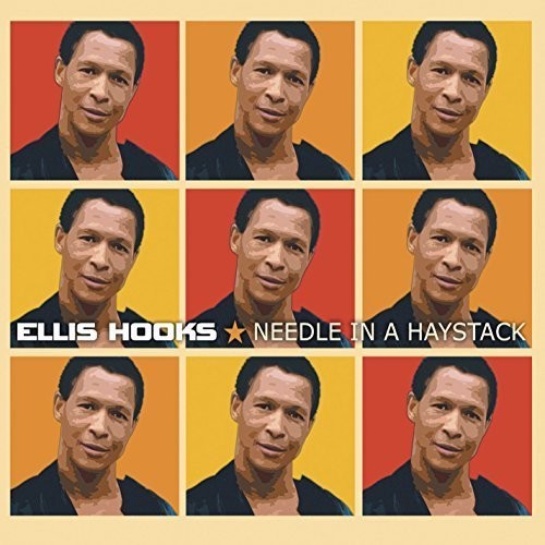 Hooks, Ellis: Needle in a Haystack