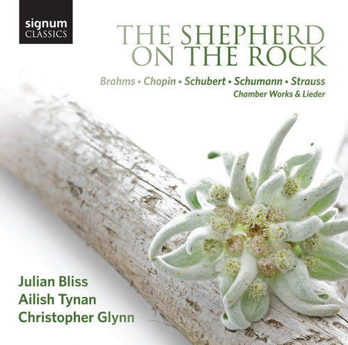 Brahms / Bliss / Tynan / Glynn: Shepherd on the Rock - Works By Brahms Chopin