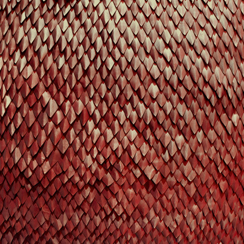 Kill the Vultures: Carnelian