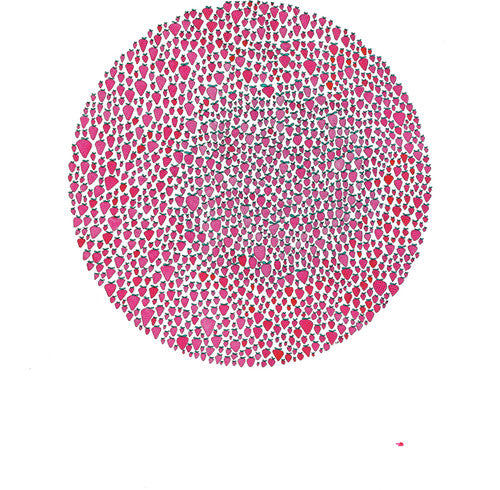 Brown, Julia: An Abundance of Strawberries