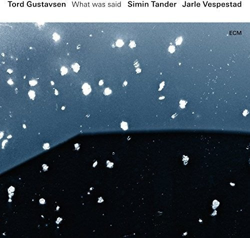 Gustavsen, Tord: What Was Said