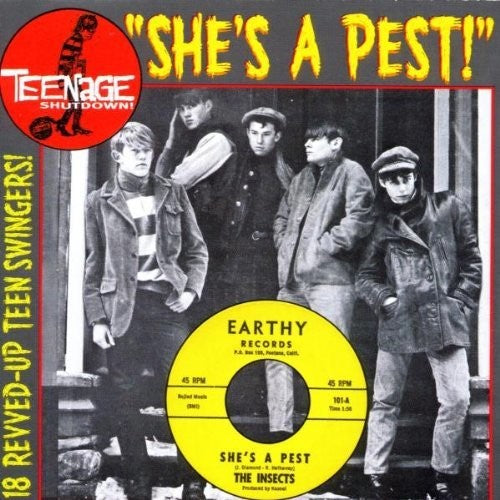 Various Artists: Teenage Shutdown 15: She's A Pest (Various Artists) - COMPACT DISCS