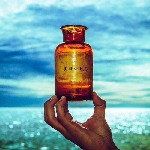 Blackfield: Blackfield V