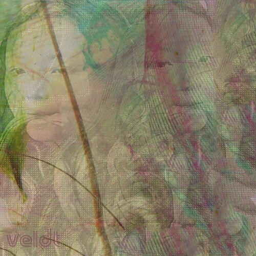 Veldt: Symmetry / Slow Grind - 7-INCH SINGLE