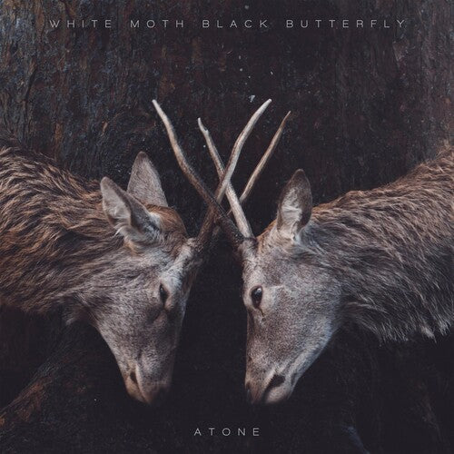 White Moth Black Butterfly: Atone