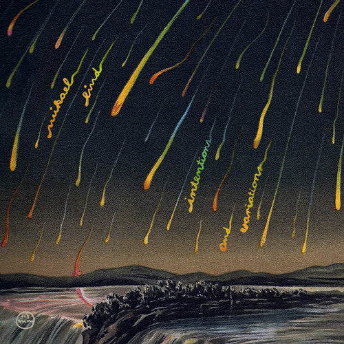 Lind, Mikael: Intentions and Variations