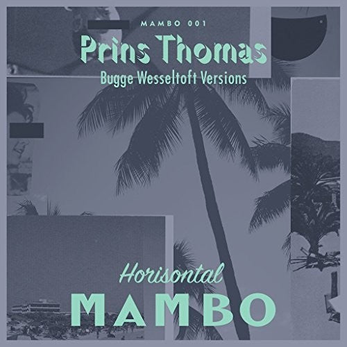 Prins Thomas: Bobletekno - Bugge Wesseltoft Versions