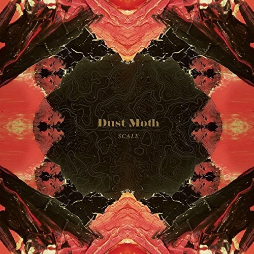 Dust Moth: Scale