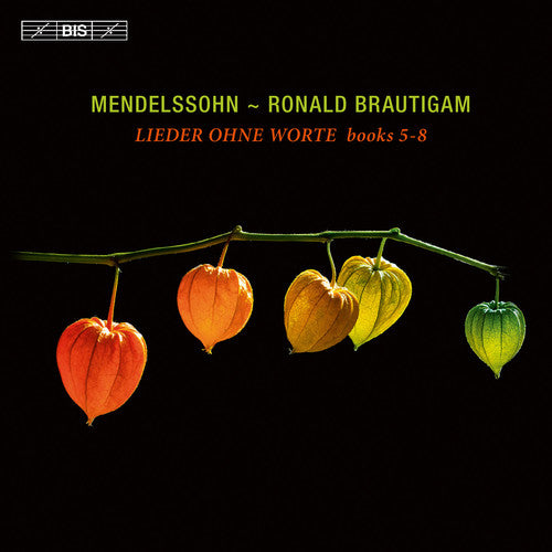 Mendelssohn, F. / Brautigam, Ronald: Mendelssohn: Lieder Ohne Worte Books 5-8 - SUPER-AUDIO CD