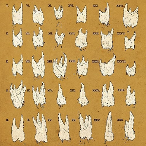 Yeesh: Confirmation Bias