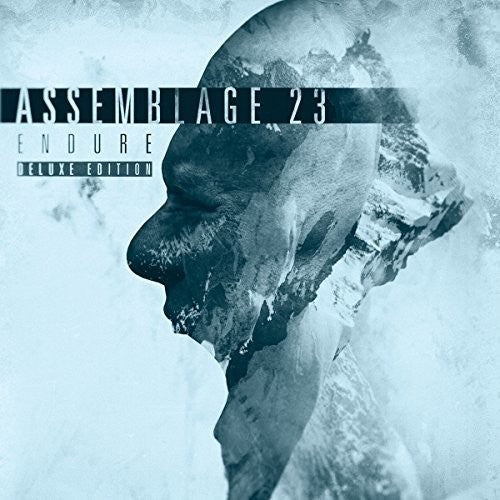 Assemblage 23: Endure