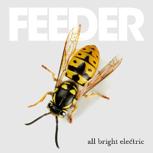 Feeder: All Bright Electric - VINYL LP