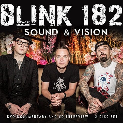 Blink 182: Sound & Vision