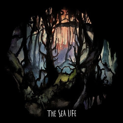 Sea Life: Sea Life - CASSETTES