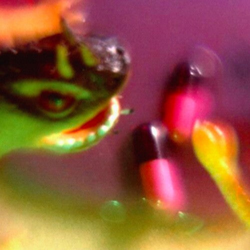 Bush Tetras: Take The Fall - VINYL LP