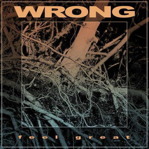 Wrong: Feel Great - VINYL LP