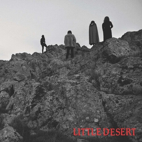 Little Desert: Ashes - 7-INCH SINGLE
