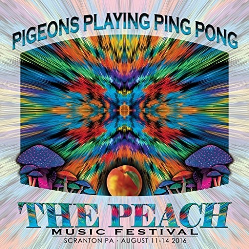 Pigeons Playing Ping Pong: Pigeons Playing Ping Pong / Peach Music Festival 2016