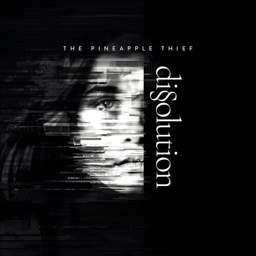 Pineapple Thief: Dissoultion - VINYL LP