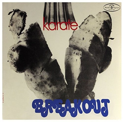 Breakout: Karate