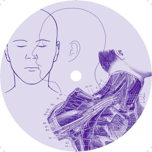 Clementi, Roberto: Avesys