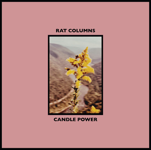 Rat Columns: Candle Power