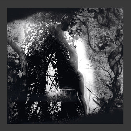 Pisetzky: Tears Of A Rough Machine