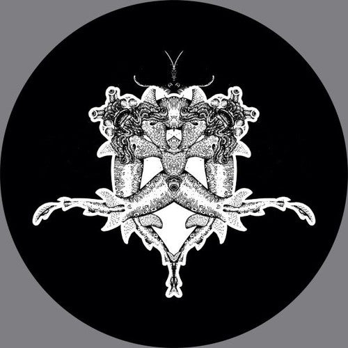 Amura, Diego: Automa