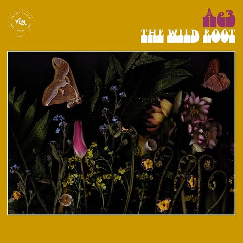 Ae3 (Alan Evans Trio): The Wild Root