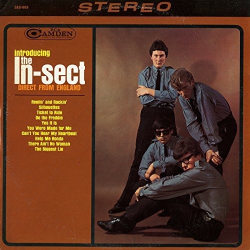 In-Sect: Introducing The In-Sect Direct from England